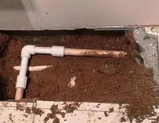 石狮测漏水哪家好