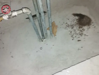 石狮卫生间测漏水价格明细