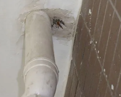 石狮漏水检测哪家好